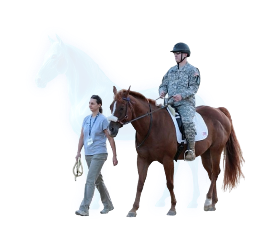 USAF and military police horse unit using Vibrome™ equine biosignature monitoring to maintain operational readiness injury prevention and deployment efficiency
